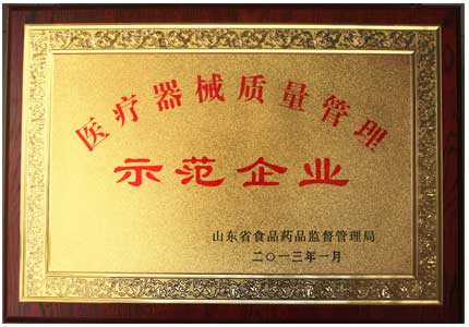 山东91视频网页入口91视频污版免费厂家医疗器械质量管理示范企业荣誉证书
