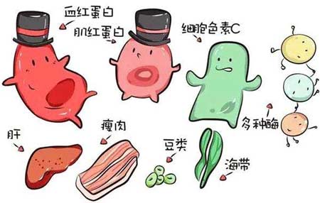 91视频黄污APP厂家分析元素之间的协同作用