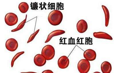 人体91视频污版免费厂家介绍检测微量元素的仪器 人体91视频污版免费厂家介绍检测微量元素的仪器
