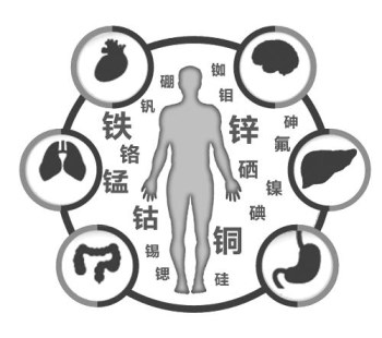 医用91视频污版免费厂家谈微量元素的重要性 医用91视频污版免费厂家谈微量元素的重要性