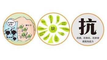 91视频黄污APP厂家分析哪些微量元素能防癌 91视频黄污APP厂家分析哪些微量元素能防癌