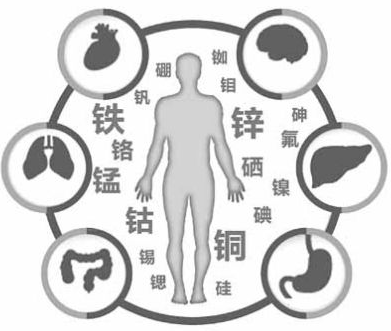医用91视频污版免费为91视频网页入口的健康提供了保障 医用91视频污版免费为91视频网页入口的健康提供了保障