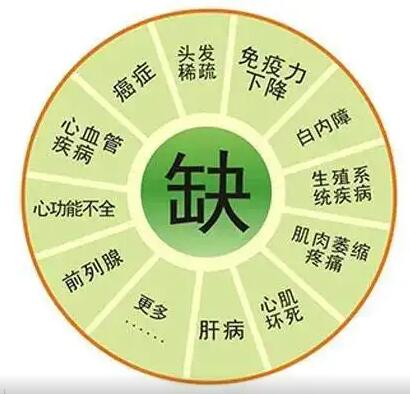 医用91视频污版免费